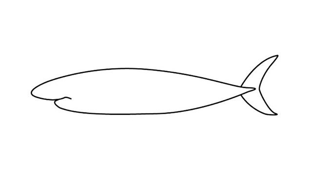鲨鱼简笔画