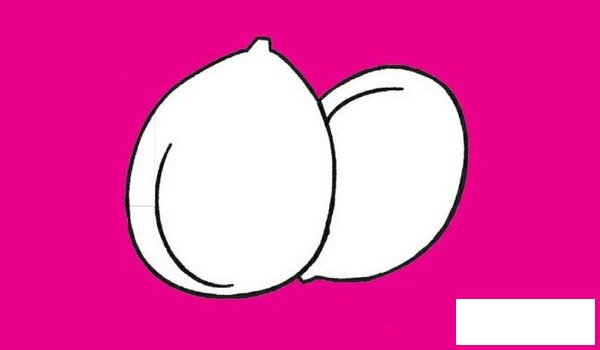 坚果简笔画图片