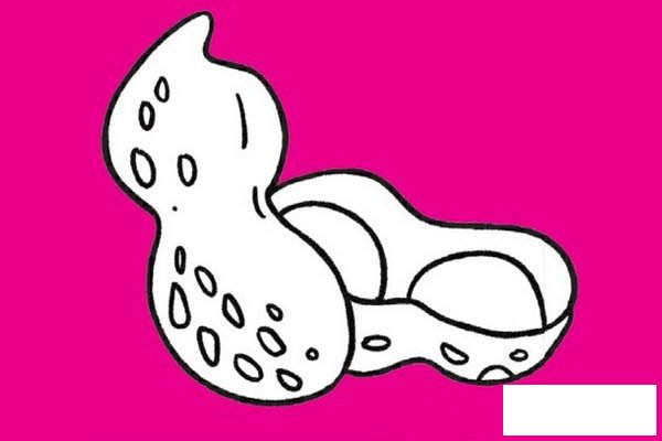 核桃简笔画图片