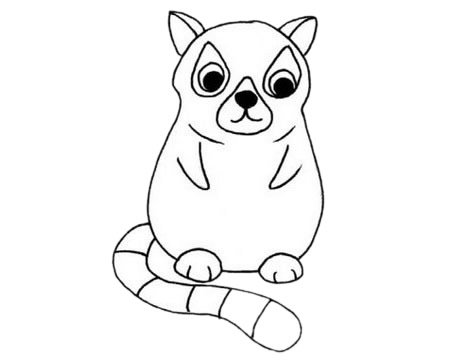 狐猴简笔画图片