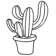 仙人掌盆栽简笔画图片大全