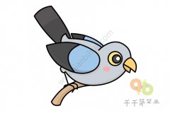 一只杜鹃鸟简笔画图片