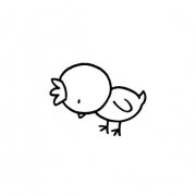 小公鸡鸡仔的画法