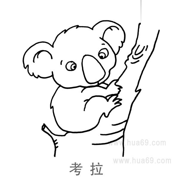 儿童简笔画：懒惰的考拉