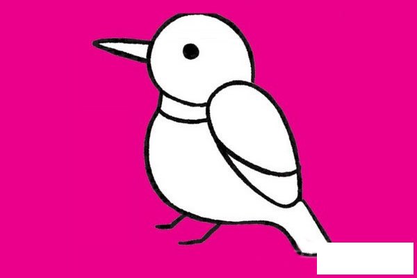 鸽子简笔画