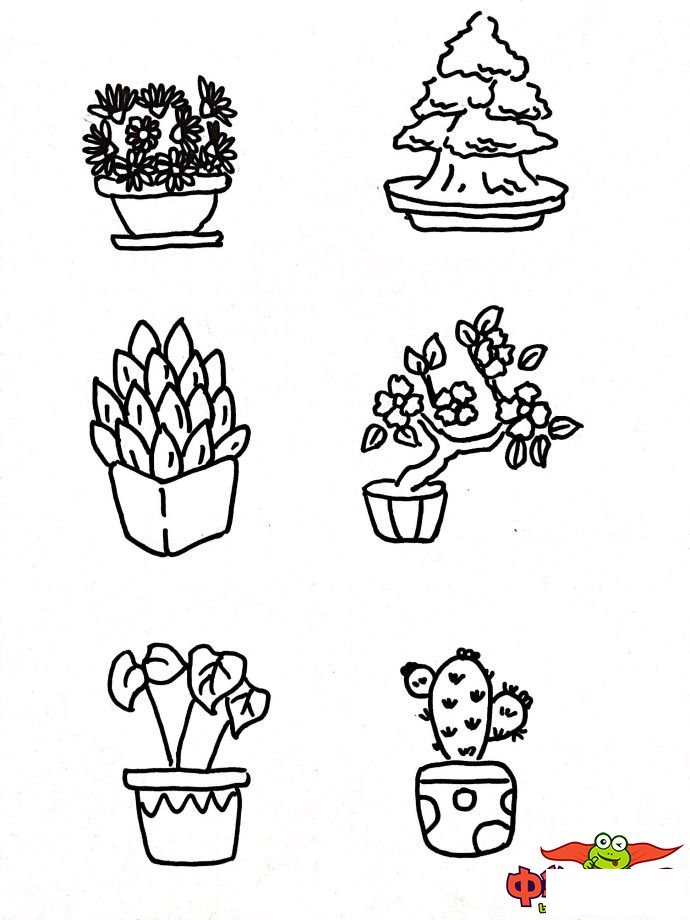 幼儿植物简笔画大全,各种盆栽植物简笔画
