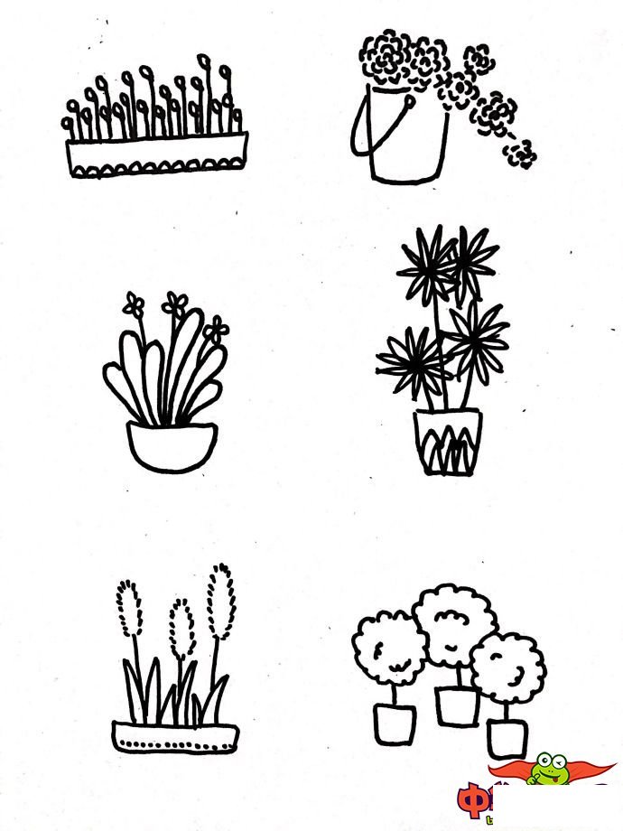 幼儿植物简笔画大全,各种盆栽植物简笔画