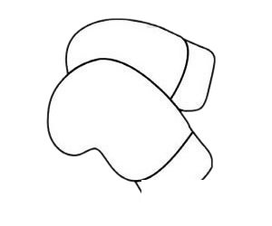 拳击手套简笔画图片步骤二