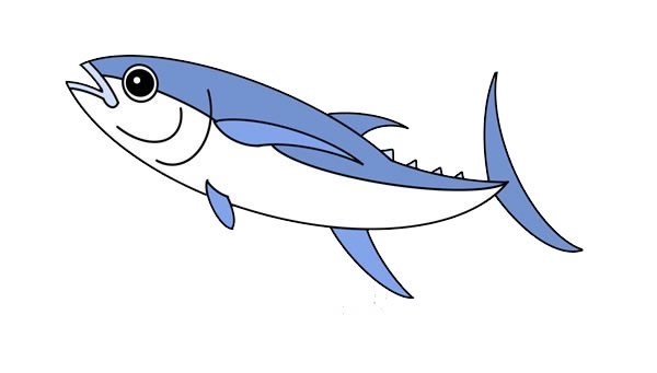 金枪鱼简笔画的画法步骤图