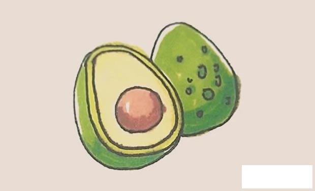 牛油果简笔画步骤教程