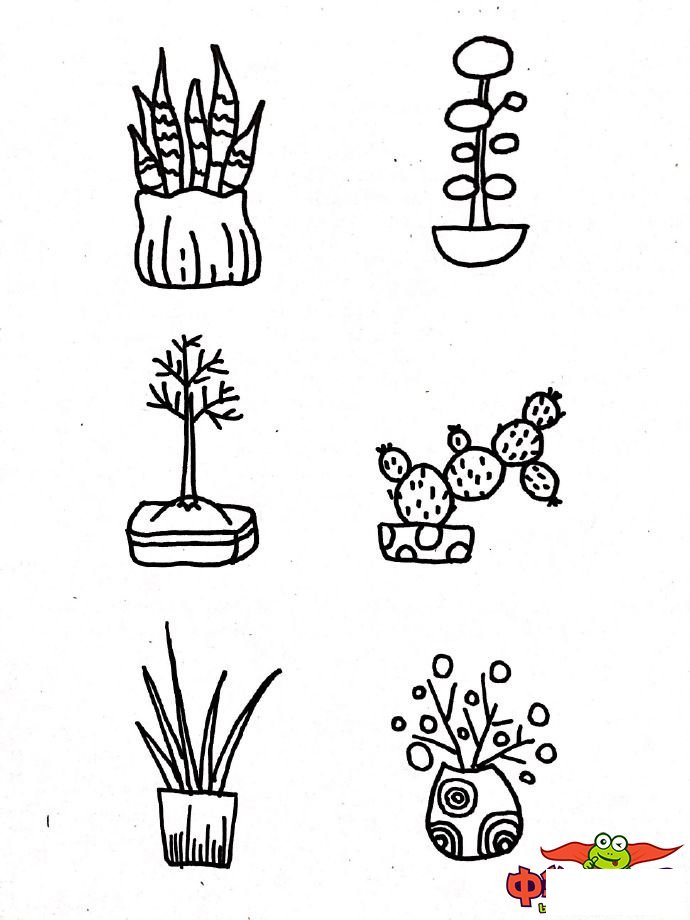 幼儿植物简笔画大全,各种盆栽植物简笔画