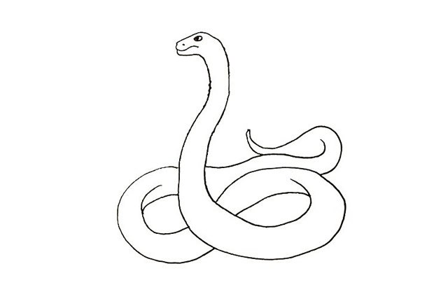 眼镜蛇简笔画步骤图