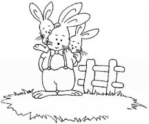 兔子妈妈简笔画2