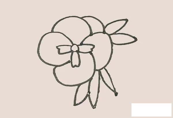 三色堇简笔画图片