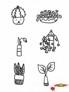 幼儿植物简笔画大全，各种盆栽植物简笔画