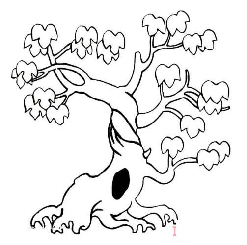 怎么画一棵大树简笔画图片简单易学