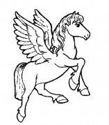 天马动物简笔画步骤图片大全五