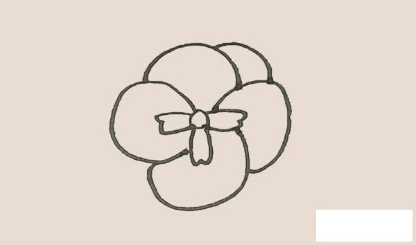 三色堇简笔画图片