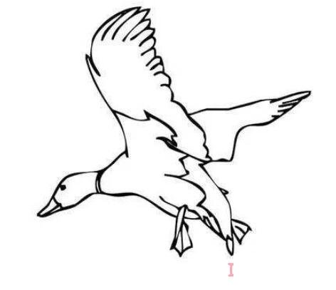 一只大雁简笔画怎么画简单好看