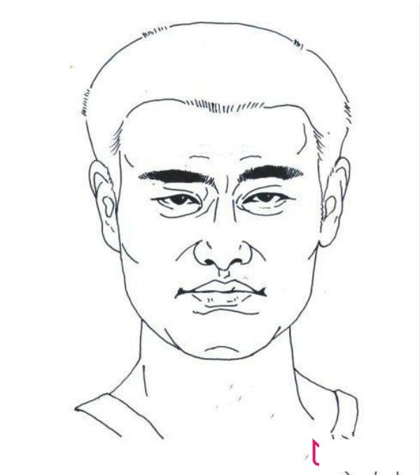 姚明头像简笔画