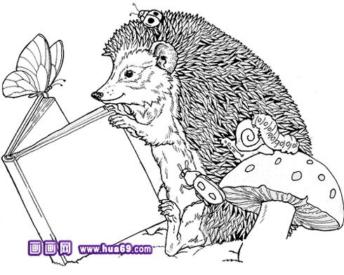 小刺猬看书简笔画