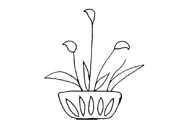 绿植花卉盆栽简笔画