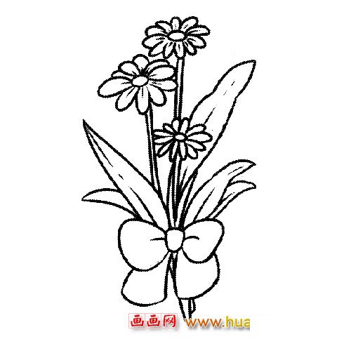 花卉简笔画：美丽的菊花花束