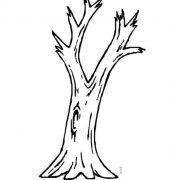 怎么画没叶子的大树简笔画图解教程