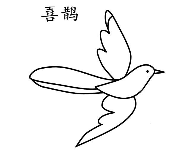 手绘喜鹊简笔画图片