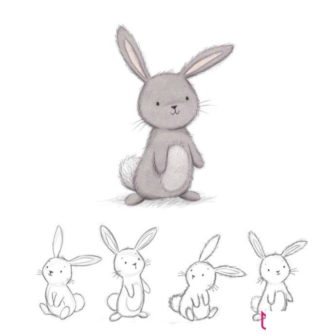 小动物简笔画图片，可爱的兔子