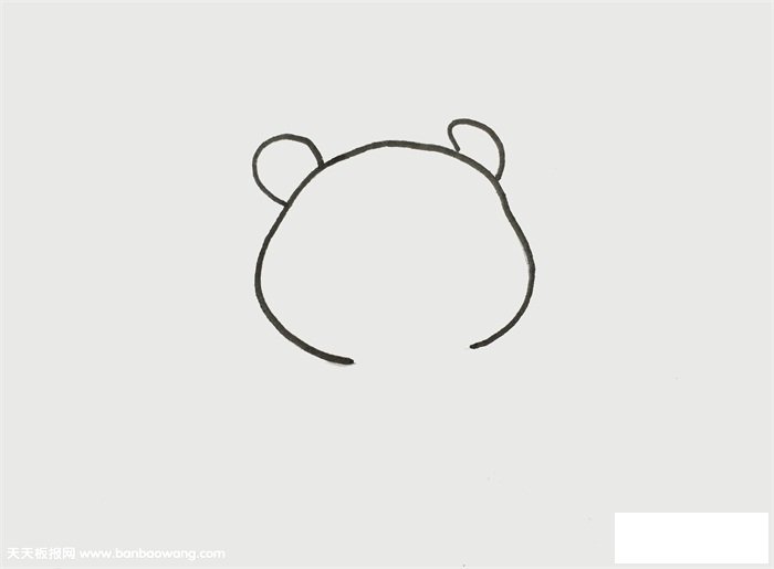 熊猫和竹子的画