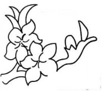 千树万树桃花开简笔画画法_怎么画千树万树桃花