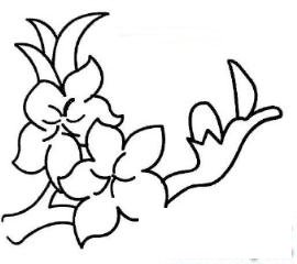 简笔画千树万树桃花开的具体画法步骤图片教程