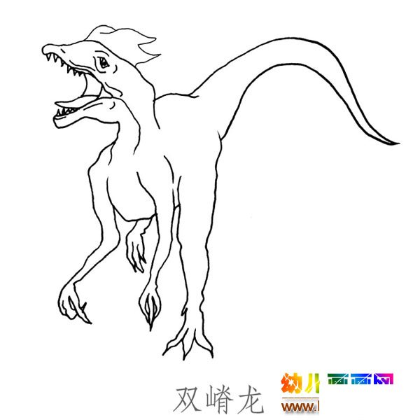 儿童简笔画图片:一只双脊龙
