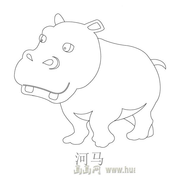 儿童简笔画：大嘴河马