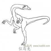 儿童简笔画恐龙:似鸟龙