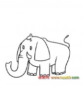 动物简笔画│大象5