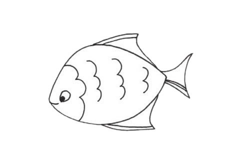 黄鳍鲳简笔画图片