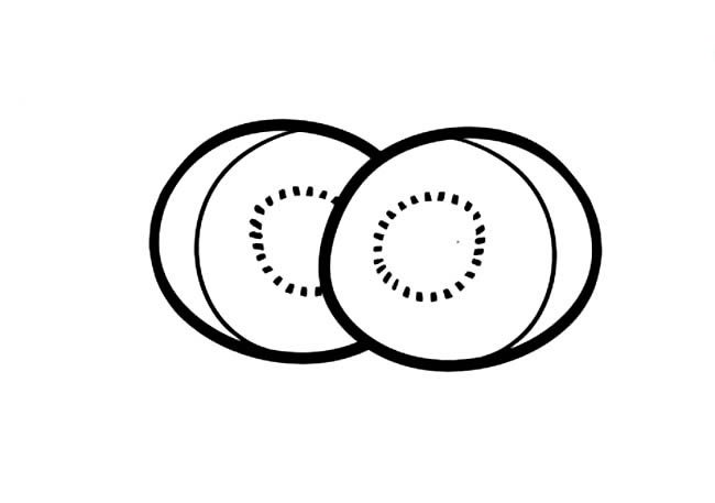 猕猴桃水果简笔画步骤图片大全