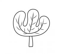 儿童学画大树简笔画图片