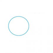 可爱的独角鲸简笔画步骤图