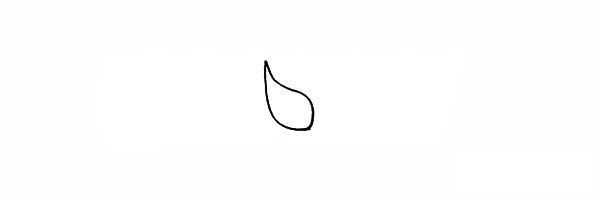 紫色玫瑰花简笔画