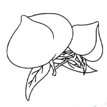 小学生关于桃子的简笔画图片