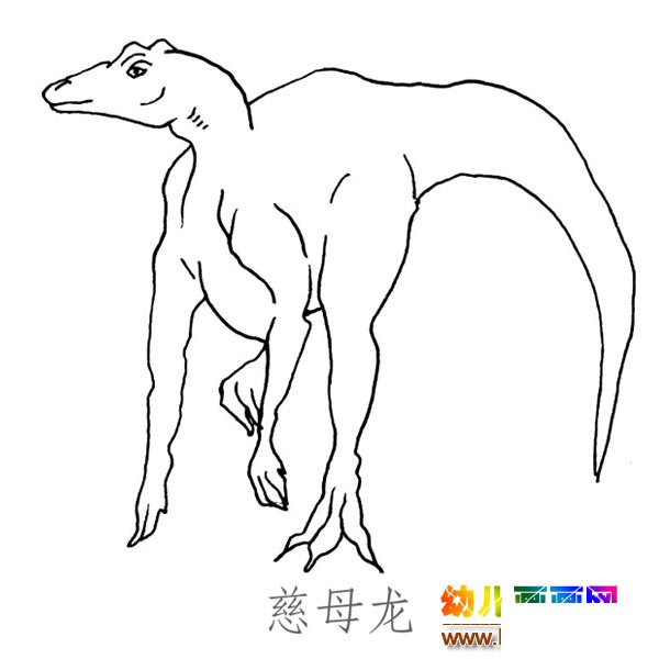 儿童简笔画图片:大尾巴的慈母龙