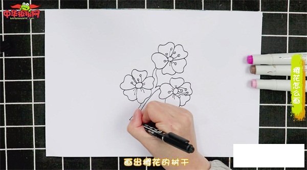樱花怎么画