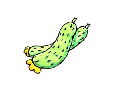 如何画黄瓜简笔画步骤图解教程