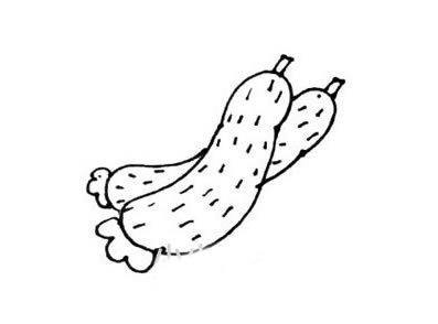 如何画黄瓜简笔画步骤图解教程