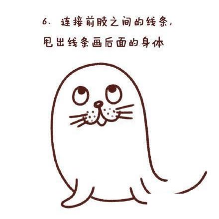 海豹简笔画图片大全