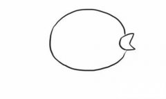 六步画出黄鹂鸟简笔画步骤教程