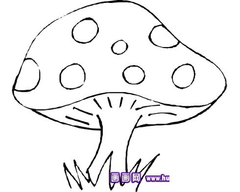 大蘑菇的简笔画